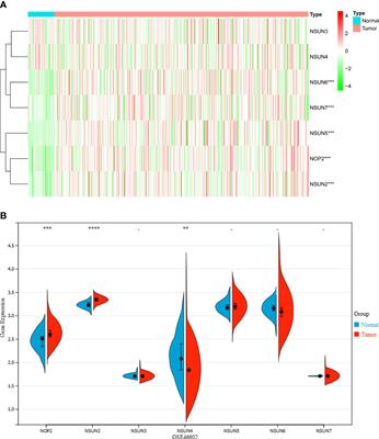 Multi-omics analysis of expression and prognostic value of NSUN members in prostate cancer